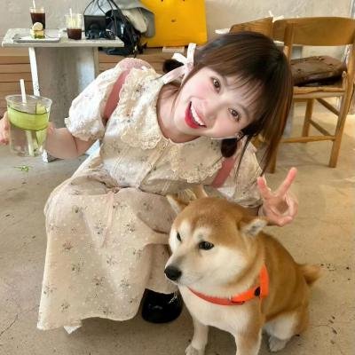 卧虎传说